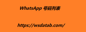 WhatsApp 号码列表